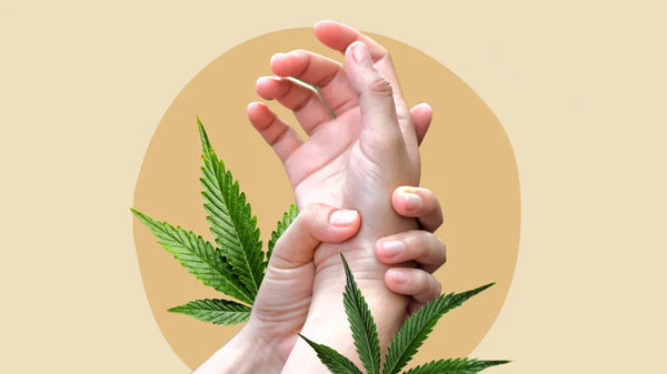 CBD and Pain – Can it help me?