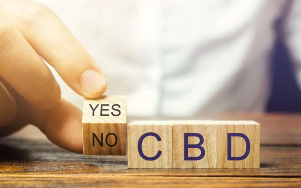 I’m Scared to Try CBD!